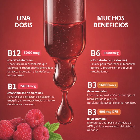 Complejo B – Energía, Claridad y Bienestar Diario