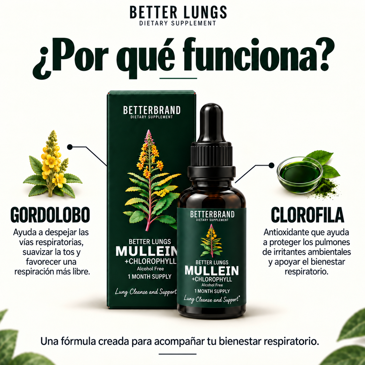 2x1 Better Lungs® | Restaurador Pulmonar™ con Clorofila y Gordolobo