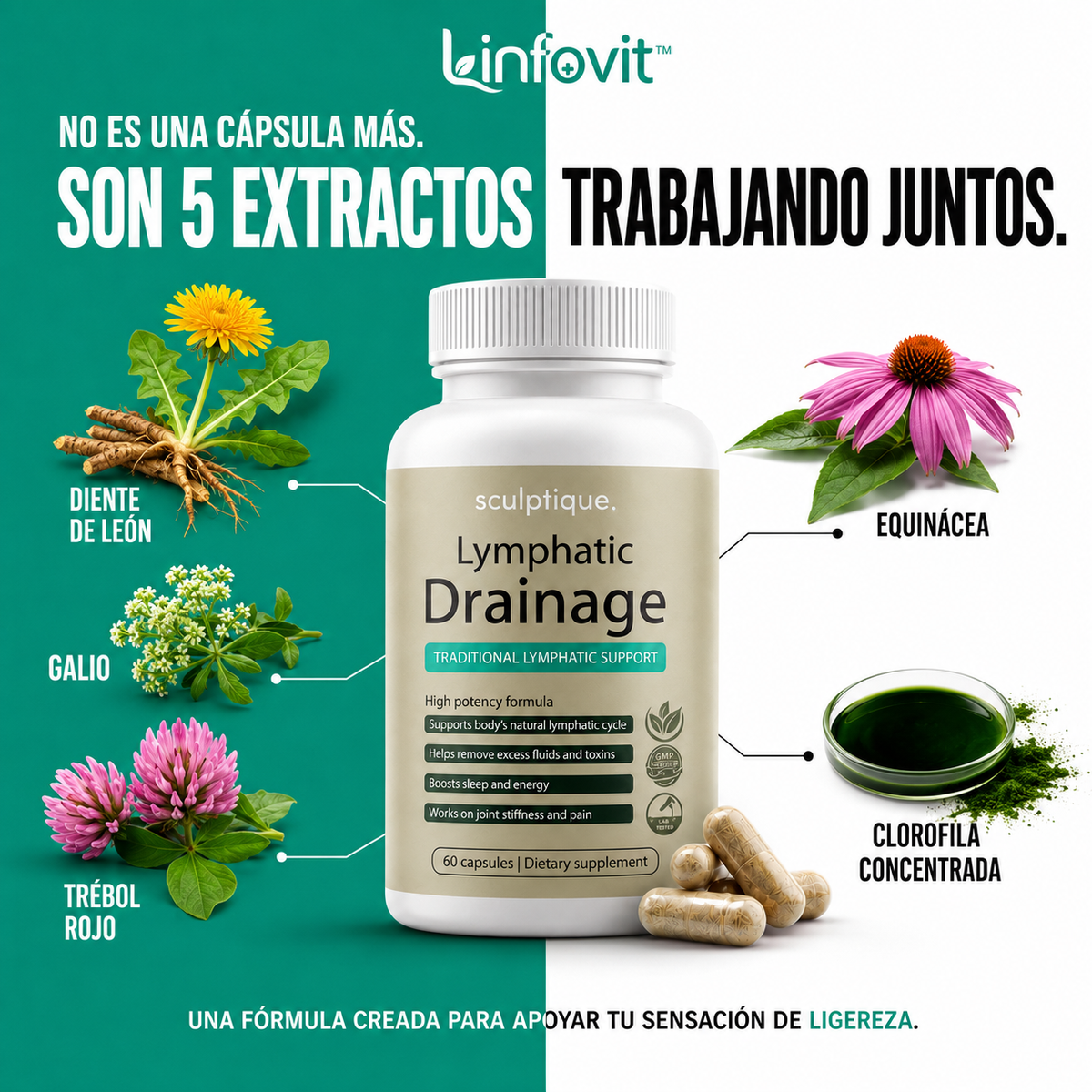 Linfovit™ – Soporte Metabolito Contra Líquidos Retenidos