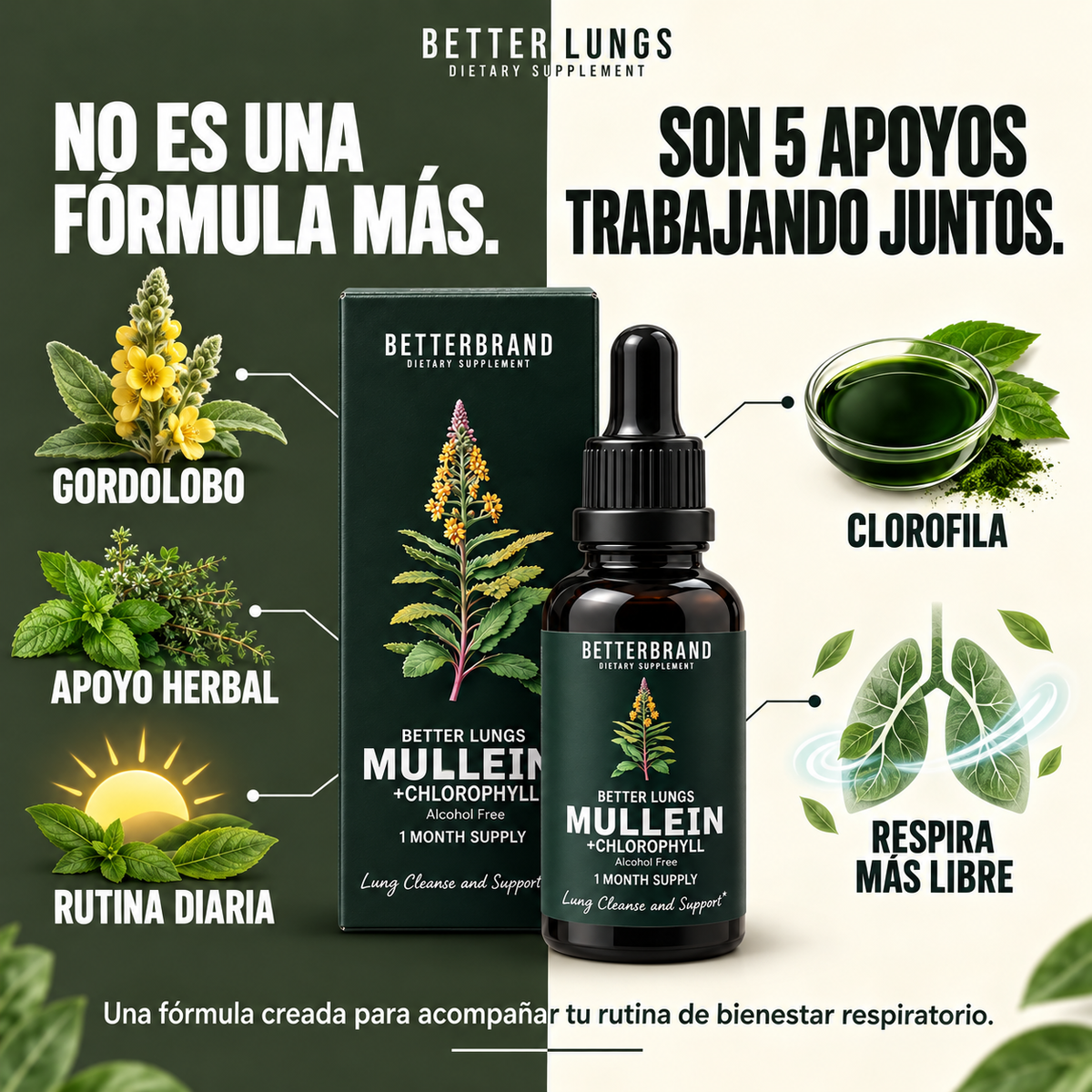 2x1 Better Lungs® | Restaurador Pulmonar™ con Clorofila y Gordolobo