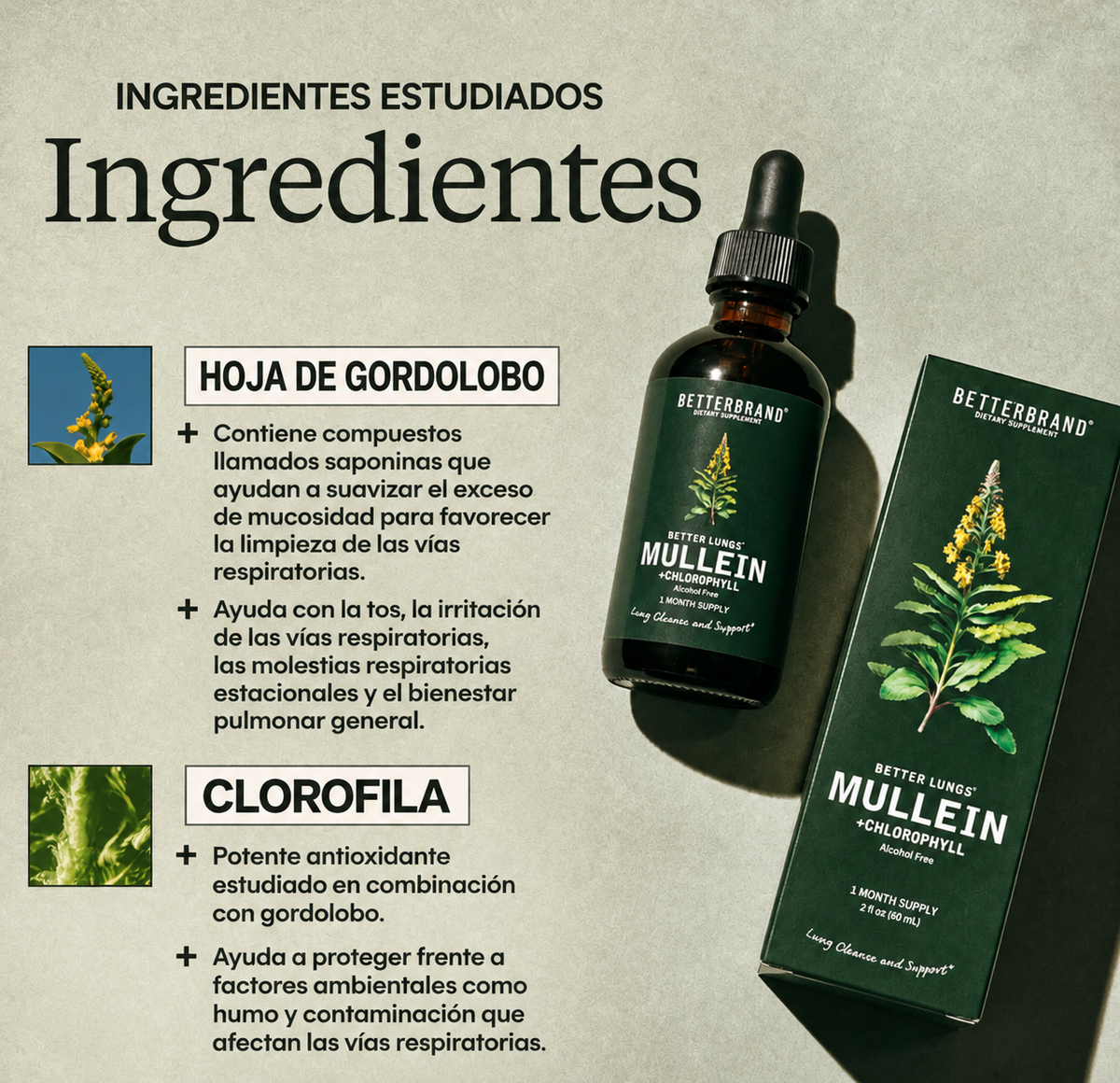 2x1 Better Lungs® | Restaurador Pulmonar™ con Clorofila y Gordolobo