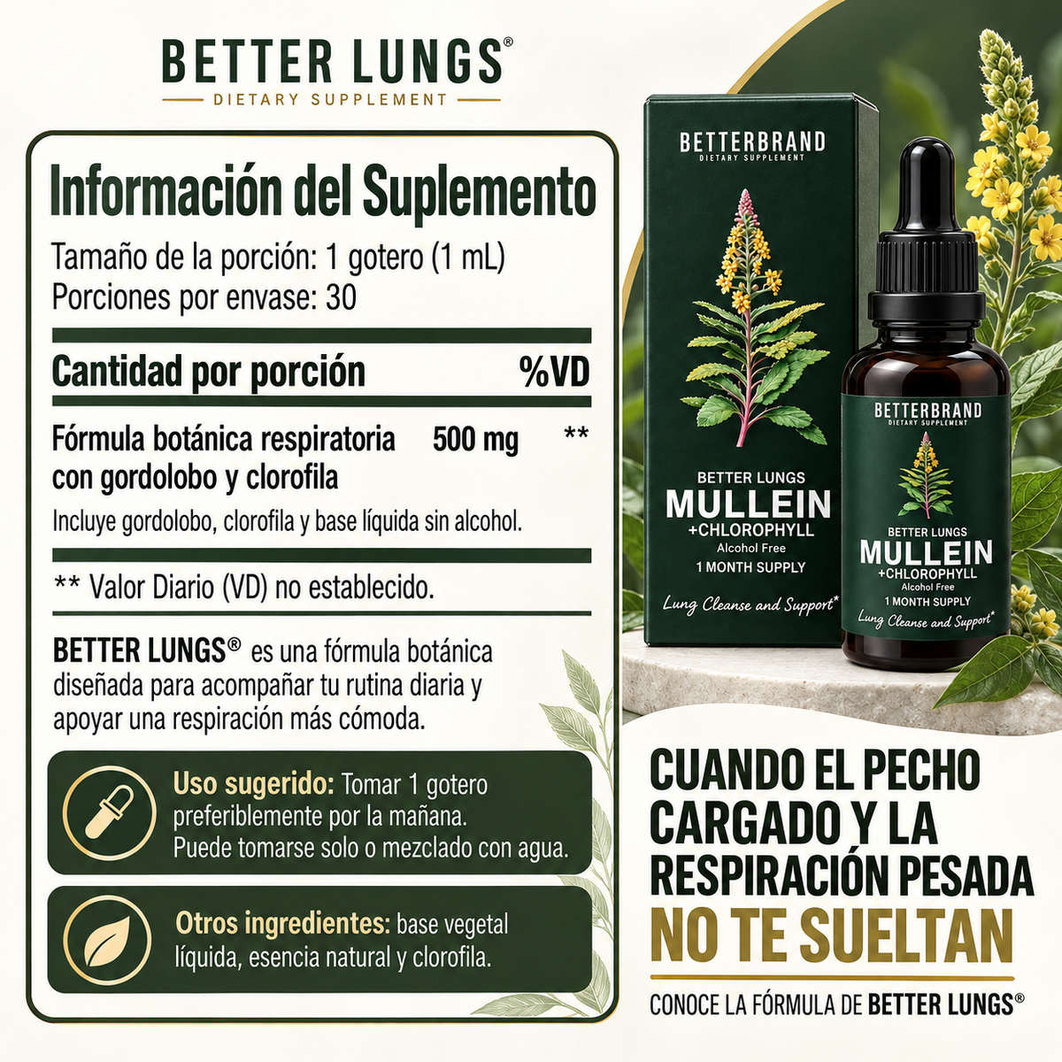 2x1 Better Lungs® | Restaurador Pulmonar™ con Clorofila y Gordolobo