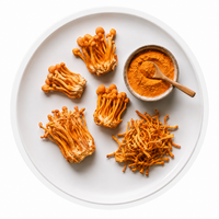 Cordyceps Militaris
